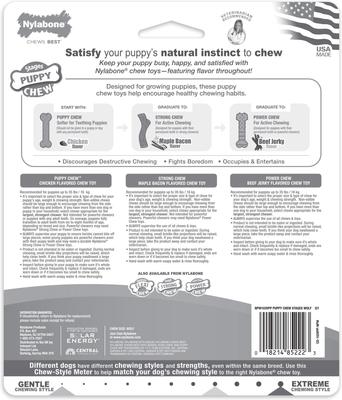 Show full view: Nylabone Puppy Chew Stages Triple Pack Chewy Toys Puppy Stages Triple Pack, Medium, 3 count slide 7 of 10