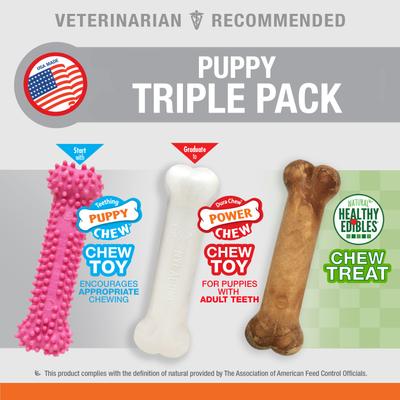 Show full view: Nylabone Puppy Chew Variety Toy & Treat Triple Pack Pink, Small  slide 3 of 12