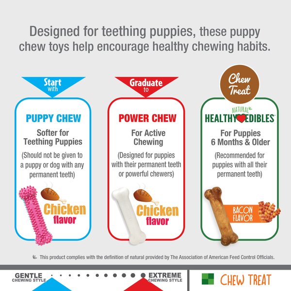 Nylabone Puppy Chew Variety Toy & Treat Triple Pack