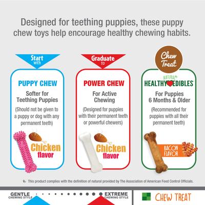 Nylabone Puppy Chew Variety Toy & Treat Triple Pack