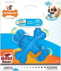 Nylabone Puppy Chew X Bone Chew Toy Blue, Small