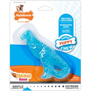 Nylabone Puppy Dental Dinosaur Chew Toy for Teething Puppies Chicken Blue, Small 