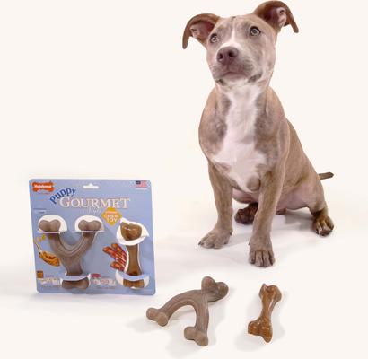 Show full view: Nylabone Puppy Gourmet Style Strong Chew Bacon & Peanut Butter Dog Toy Bundle, Small/Regular, 2 Count slide 2 of 11