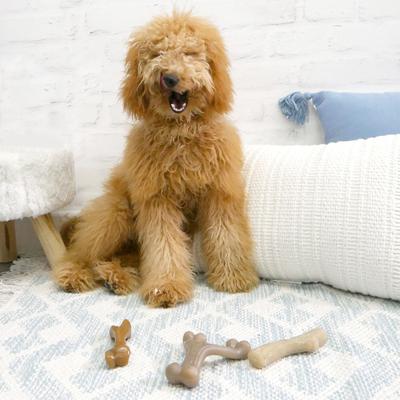 Show full view: Nylabone Puppy Gourmet Style Strong Chew Dog Toys, Bacon, Chicken, Peanut Butter, 3 Count slide 2 of 12