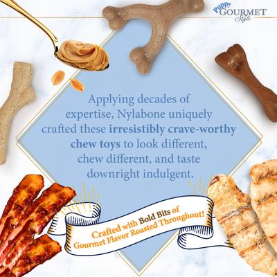 Show full view: Nylabone Puppy Gourmet Style Strong Chew Dog Toys, Bacon, Chicken, Peanut Butter, 3 Count slide 7 of 12