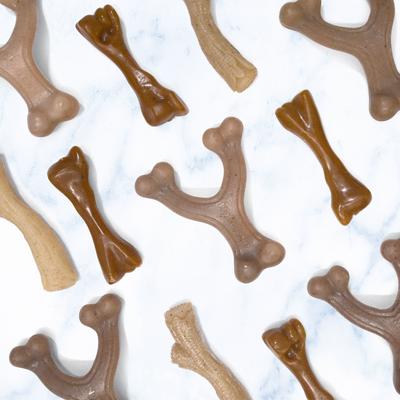 Show full view: Nylabone Puppy Gourmet Style Strong Chew Dog Toys, Bacon, Chicken, Peanut Butter, 3 Count slide 8 of 12