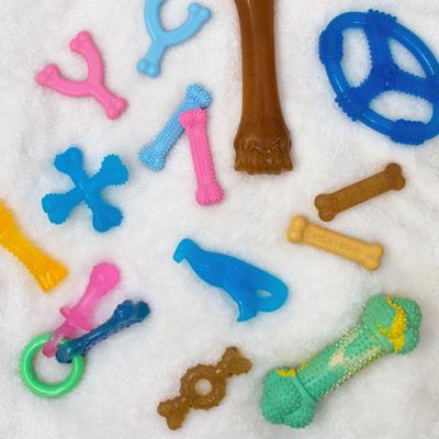 Show full view: Nylabone Puppy Pacifier Teething Toy Chew Teething Pacifier Bacon, Small slide 6 of 14