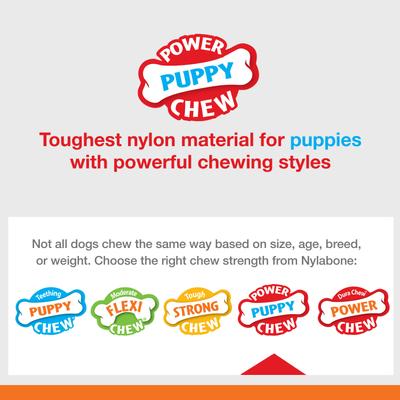 Show full view: Nylabone Puppy Power Chew Knuckle Bone & Pop-In Puppy Treat Toy Combo, Blue, X-Small slide 4 of 12