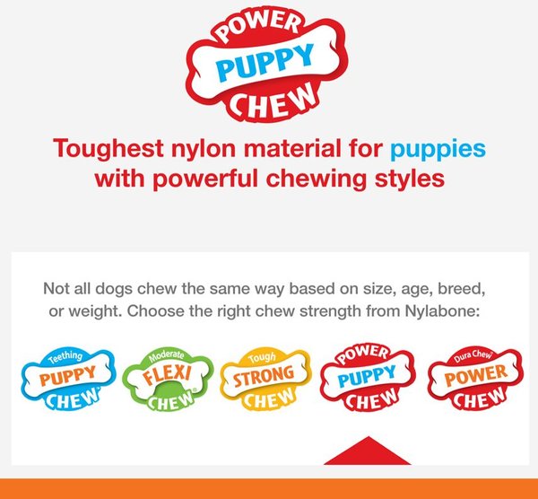 Nylabone Puppy Power Chew Teething Toy Rings Dogs Bacon Yellow
