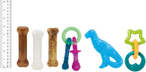 Show full view: Nylabone Puppy Starter Pack Chew Toys & Treat Variety, Small, 6 count slide 7 of 12