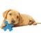 Show in main carousel: Nylabone Puppy Teething X Bone Beef Flavored Puppy Chew Toy & Pet Botanics Training Rewards Bacon Flavor Dog Treats slide 3 of 5
