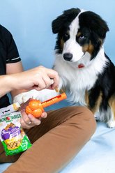 Nylabone Sneaky Snacker Bacon Flavor Dog Treat Toy, Orange, Large  slide 2 of 9