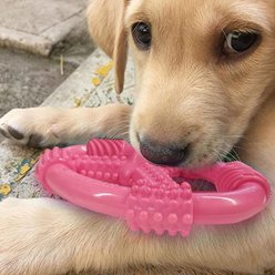 Nylabone Spin Tug & Play Puppy Chew Dog Toy, Pink, Medium slide 2 of 9