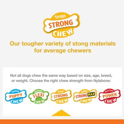 Show full view: Nylabone Strong Chew Real Wood Dog Stick Toy Maple Bacon, Medium slide 6 of 14