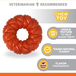 Nylabone Strong Chew Ring Braided Chew Toy for Dogs Beef, Medium slide 2 of 9