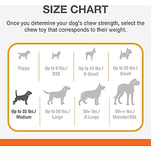 Nylabone Strong Rubber Allergen-Free Peanut Butter Flavor Tough Dog Treat Toy, Brown, Medium/Wolf