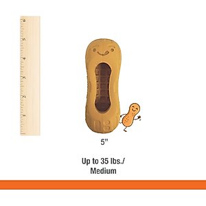 Nylabone Strong Rubber Allergen-Free Peanut Butter Flavor Tough Dog Treat Toy, Brown, Medium/Wolf