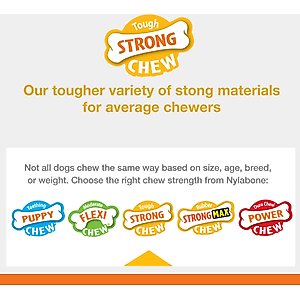 Nylabone Strong Rubber Allergen-Free Peanut Butter Flavor Tough Dog Treat Toy, Brown, Medium/Wolf