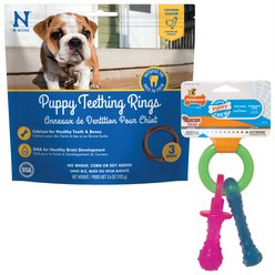 Nylabone Teething Pacifier Puppy Chew Toy & N-Bone Puppy Teething Ring Chicken Flavor Dog Treats
