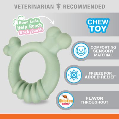 Show full view: Nylabone Teething Ring Puppy Chew Toy, Green slide 2 of 13