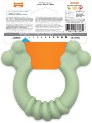 Show full view: Nylabone Teething Ring Puppy Chew Toy, Green slide 9 of 13