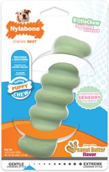 Nylabone Teething Stick Puppy Chew Toy, Green