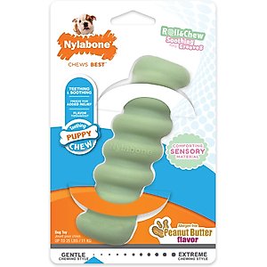 Nylabone Teething Stick Puppy Chew Toy, Green