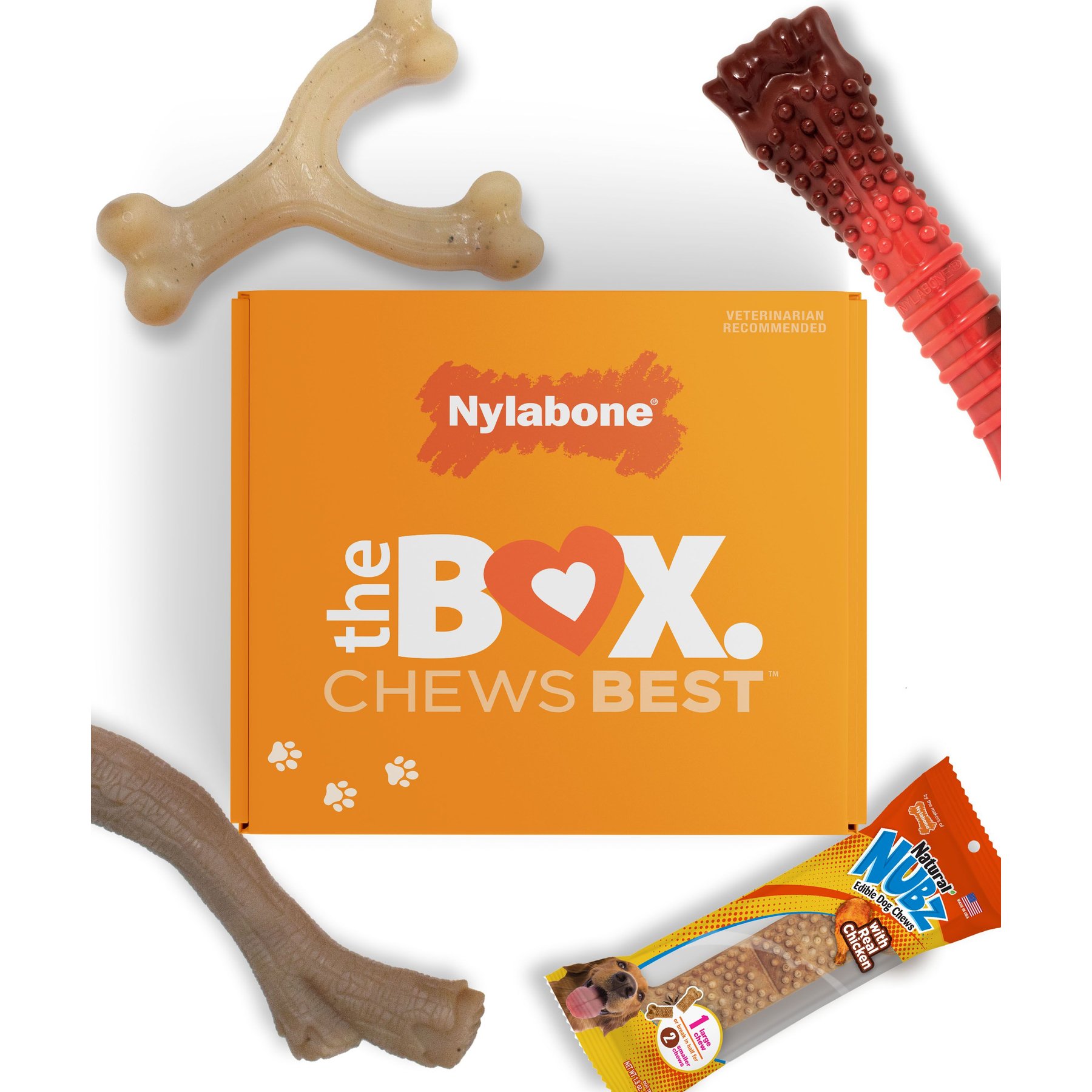Nylabone The Box Chew Toy & Treat Gift Box for Large Dogs