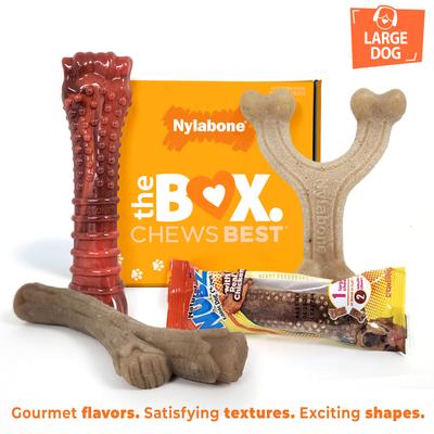 Show full view: Nylabone The Box Chew Toy & Treat Gift Box for Large Dogs slide 3 of 12