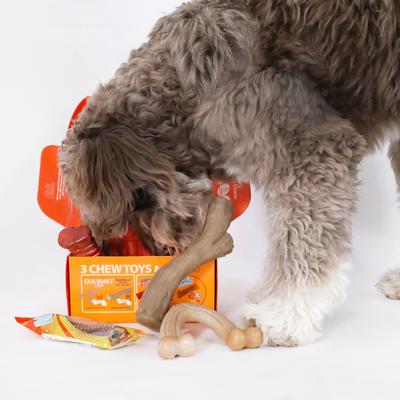 Show full view: Nylabone The Box Chew Toy & Treat Gift Box for Large Dogs slide 8 of 12