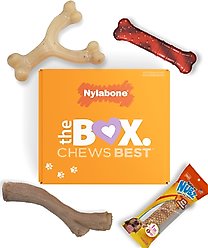 Nylabone The Box Chew Toy & Treat Gift Box for Small Dogs, Small, Red