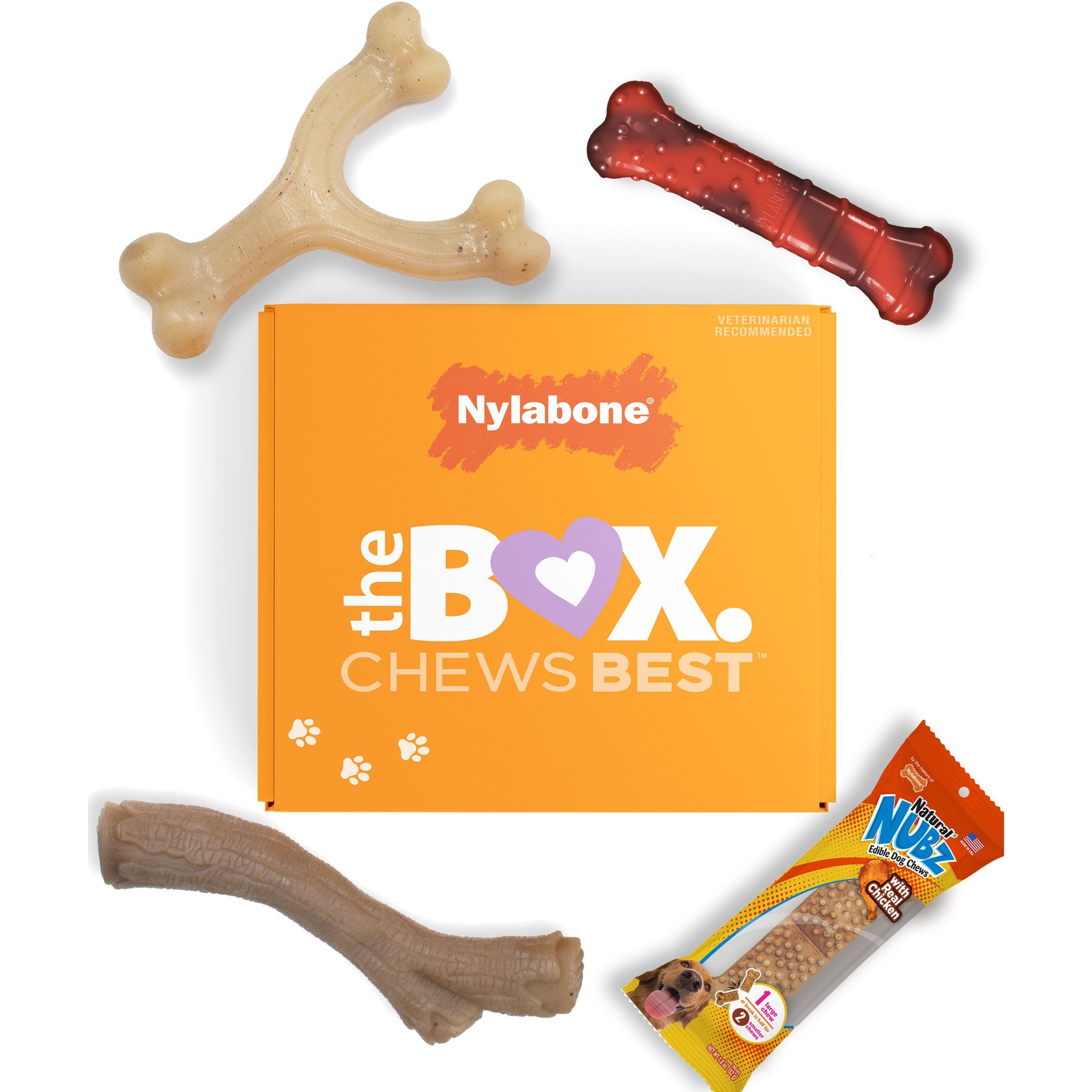 Nylabone The Box Chew Toy & Treat Gift Box for Small Dogs, Small, Red