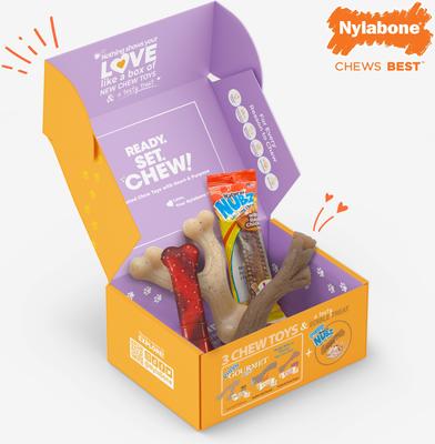 Show full view: Nylabone The Box Chew Toy & Treat Gift Box for Small Dogs, Small, Red slide 7 of 12