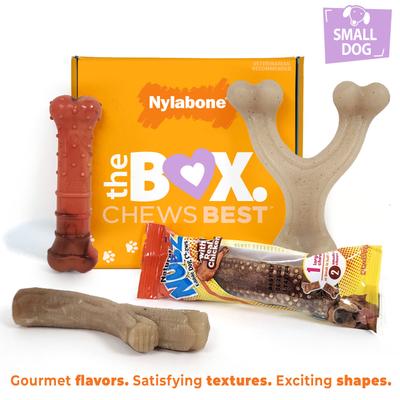 Show full view: Nylabone The Box Chew Toy & Treat Gift Box for Small Dogs, Small, Red slide 2 of 12