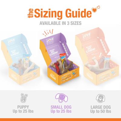 Show full view: Nylabone The Box Chew Toy & Treat Gift Box for Small Dogs, Small, Red slide 4 of 12