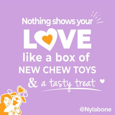 Show full view: Nylabone The Box Chew Toy & Treat Gift Box for Small Dogs, Small, Red slide 5 of 12