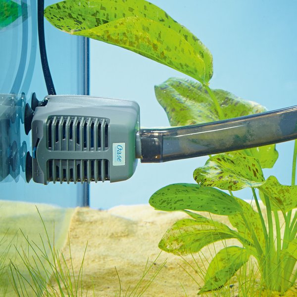 OASE Indoor Aquatics Aqua In-Out Set Fish Water-Conditioner