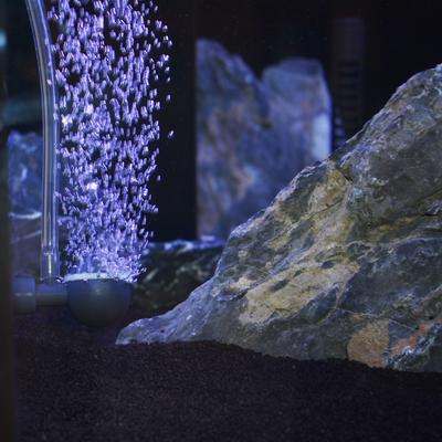 Show full view: OASE Indoor Aquatics Oxymax 400 Fish Filter slide 7 of 7