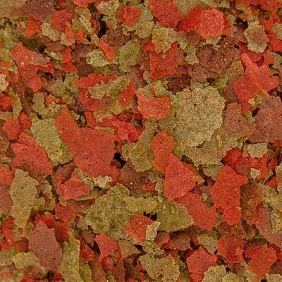 Show full view: Ocean Nutrition Cichlid Omni Flake Fish Food, 5.5-oz jar slide 5 of 5