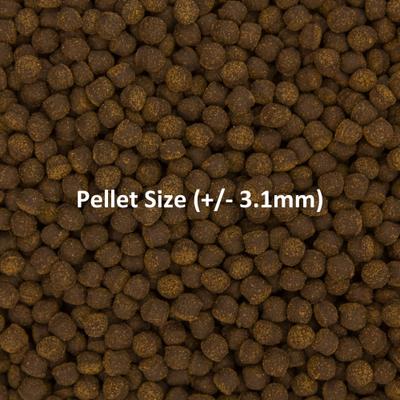 Show full view: Ocean Nutrition Cichlid Omni Pellets Fish Food, 3.5-oz jar slide 5 of 8