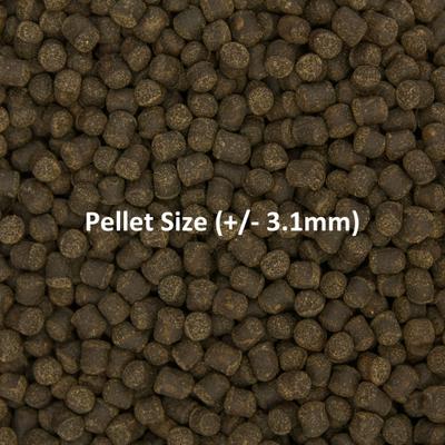 Show full view: Ocean Nutrition Cichlid Vegi Pellets Fish Food, 3.5-oz jar slide 8 of 8