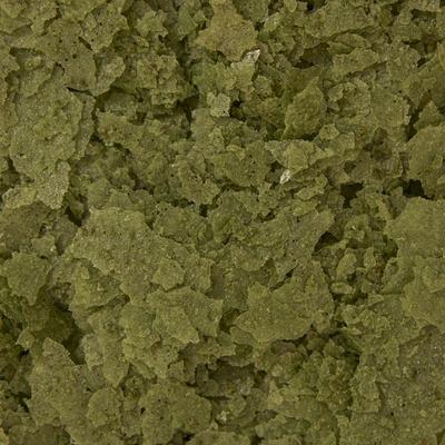 Show full view: Ocean Nutrition Formula Two Flake Fish Food, 2.5-oz jar slide 4 of 4