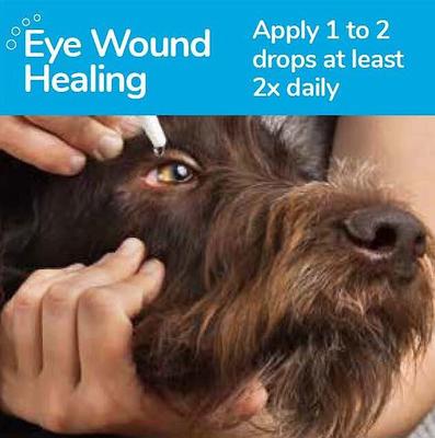 Show full view: Oculenis Ocular Repair Gel for Dogs & Cats, 3 mL slide 3 of 7