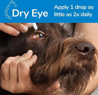 DOMES PHARMA Ocunovis BioHance Eye Drops for Dogs Cats, 5-ml