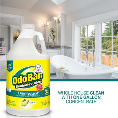 Show full view: OdoBan Concentrate Lemon Disinfectant, 1-gal slide 8 of 9