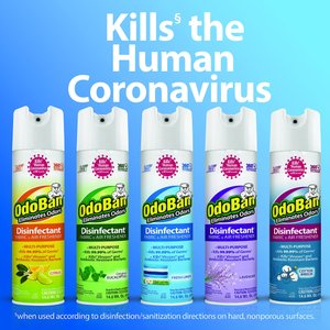 OdoBan Disinfectant Fabric & Air Freshener Lavender Spray, 14.6-fl oz bottle