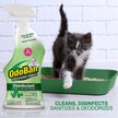 Show in main carousel: OdoBan Disinfectant Fabric & Air Freshener Spray, Eucalyptus Scent, 32-fl oz bottle slide 4 of 9