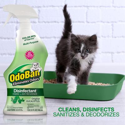 OdoBan Disinfectant Fabric & Air Freshener Spray, Eucalyptus Scent