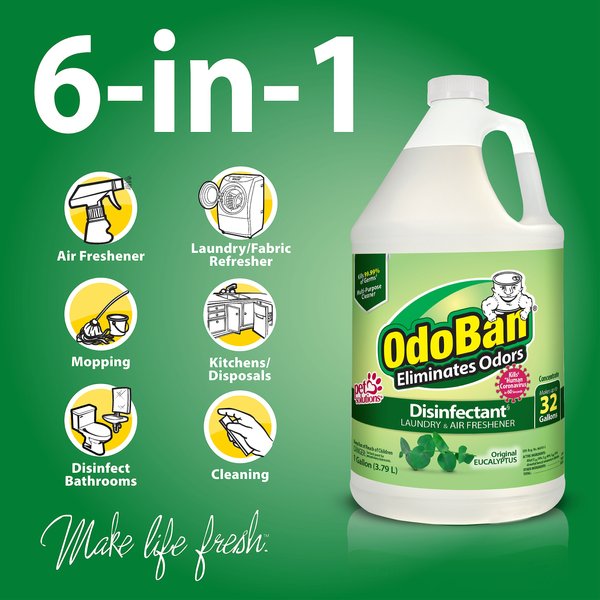 OdoBan Disinfectant Laundry & Air Freshener Concentrate, Eucalyptus Scent