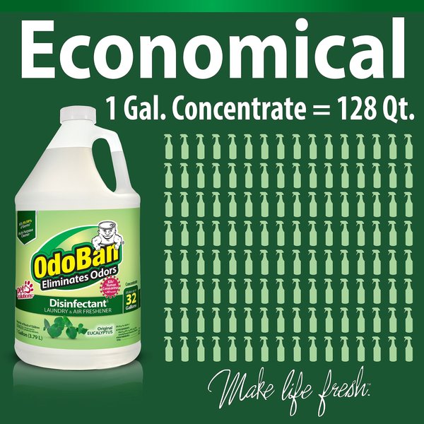 OdoBan Disinfectant Laundry & Air Freshener Concentrate, Eucalyptus Scent